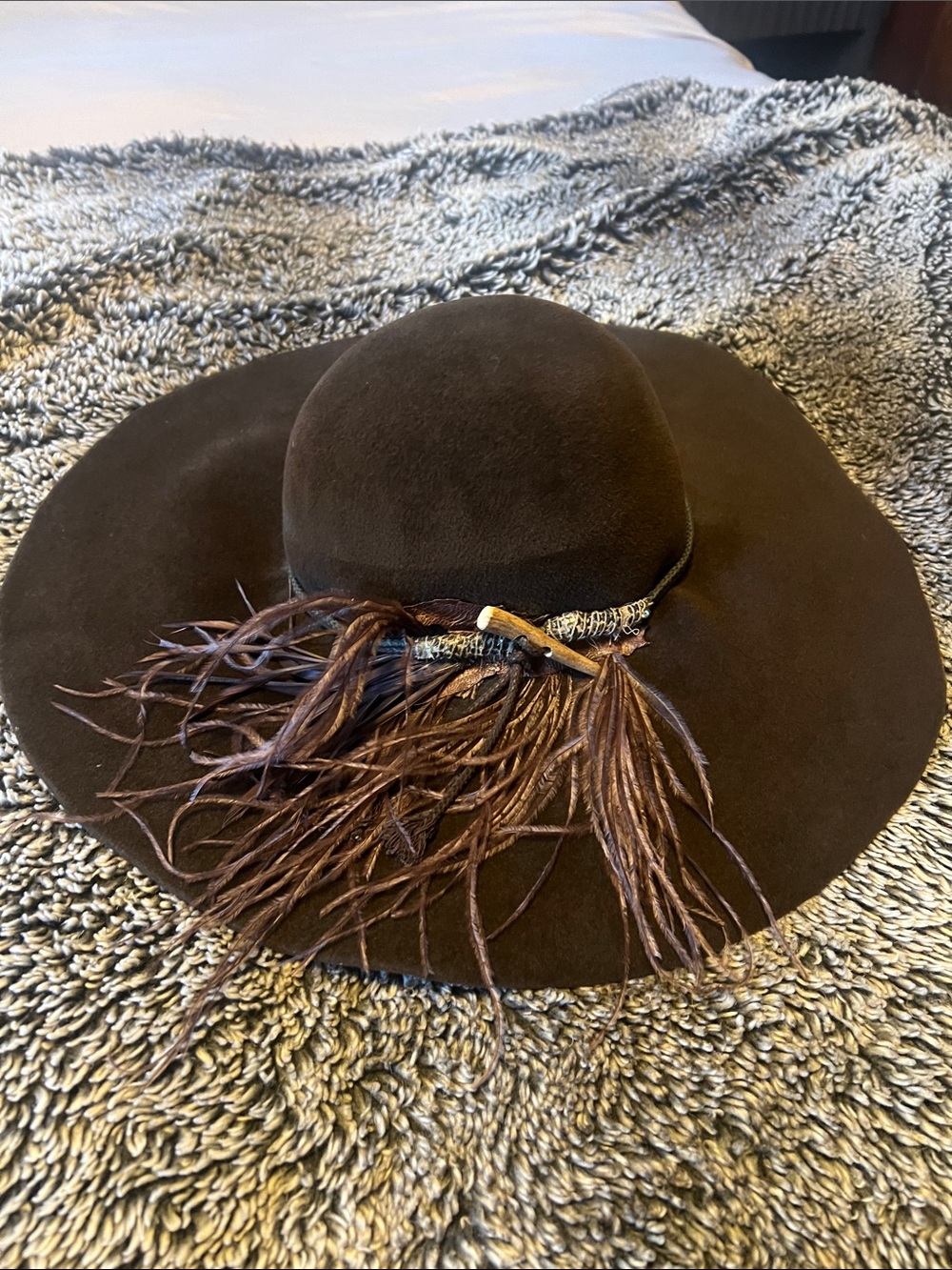 Eugenia Kim Dark Brown Wide-Brim Wool Hat with Feather Trim